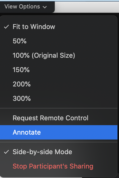 Zoom "View Options" Menu, Annotate is selected
