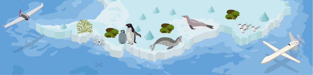 Graphic of an iceberg with animals including seals and penguins on it and drones flying overhead