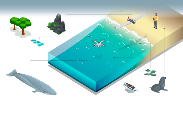 Illustration of drones flying over ocean with various ocean mammals